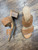 Used New Directions High Heels 7 60032-S000624012 View 2