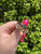 Used Louis Vuitton Ring 60067-S000733007 View 1