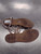 Used Steve Madden Sandals 9 60112-S000416382 View 1