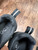 Used On Cloud Performance Shoes 7.5 60043-S000863505 View 4