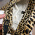 Used Just Cavalli Short Skirt 10-30 60004-S000615625 View 2