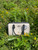 Used Coach Large Leather Handbag 60084-S000832383 View 8