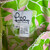 Used Lilly Pulitzer Short Dress F L-12/14 60129-S000500214 View 3