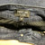 Used Nydj Denim 8-29 60105-S000245106 View 3