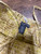 Used Chelsea & Theodore Long Dress B L-12/14 60100-S000279048 View 4