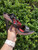 Used Diesel High Heels 9 60067-S000740982 View 3