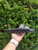 Used Mens Valentino Slides 11 60067-S000741175 View 2