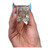 Used Vacation perfume 60099-S000327866 View 4