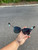 Used Tiffany & Co. Sunglasses 60102-S000401372 View 7