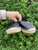 Used Yves Saint-Laurent Flats 6 60067-S000745911 View 5