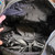 Used Lululemon Athletica Large Handbag 60112-S000420690 View 13