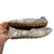 Used Born Casual Shoes 8.5 60115-S000220483 View 2