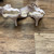 Used Unbranded Low Heels 10 60004-S000620253 View 2