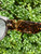 Used Louis Vuitton Sunglasses 60067-S000746473 View 7