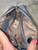 Used Unbranded Small Leather Handbag 60132-S000098806 View 7