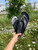Used Unbranded Flip Flops 8 60084-S000840379 View 4