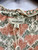 Used Max Studio Short Sleeve Top L-12/14 60072-S000516776 View 2