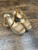 Used Sam Edelman Wedge Sandals 9 60032-S000637489 View 1