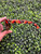 Used Gucci Sunglasses 60085-S000332169 View 2