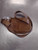Used Lululemon Athletica Wallet 60112-S000423053 View 2