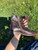 Used Bed Stu Ankle Boots 8.5 60084-S000848123 View 4
