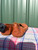 Used Jack Rogers Flats 11 60084-S000848773 View 4