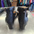 Used Torrid Dress Sandals 12 60112-S000424066 View 3
