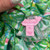 Used Lilly Pulitzer Long Dress B XL-16 60099-S000334521 View 3