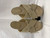 Used Dior Slides 8.5 60067-S000759661 View 1