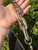 Used Louis Vuitton Python Coussin BB Bag 60067-S000761899 View 12