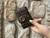 Used Fendi Cardholder 60067-S000761982 View 1