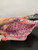 Used Vera Bradley Small Handbag 60072-S000532343 View 5
