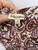 Used For Love And Lemons Long Dress F M-8/10 60070-S000586784 View 3