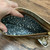 Used Coach Wallet 60004-S000632865 View 3