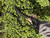 Used Saint Laurent High Heel Shoes 9.5 60067-S000762994 View 1
