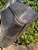 Used Prada Handbag 60067-S000763285 View 7