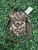 Used MZ Wallace Small Handbag 60008-S000642771 View 1