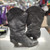 Used Code West Ankle Boots 6.5 60112-S000378858 View 4