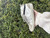 Used Golden Goose Midstar Shoes 6 60067-S000764743 View 2