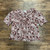 Used Ann Taylor Short Sleeve Top S-4/6 60004-S000635553 View 1