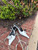 Used MNG Low Heels 6 60067-S000772729 View 1