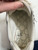 Used Gucci Casual Shoes 6.5 60060-S000614250 View 12