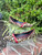 Used Liviana Conti Flats 6 60067-S000774017 View 1