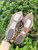 Used Liviana Conti Flats 6 60067-S000774017 View 6