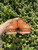 Used J. Crew Clogs 8.5 60067-S000775421 View 3