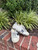 Used Golden goose athletic casual shoe 5 60067-S000777872 View 1