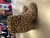 Used Carlos By Carlos Santana Ankle Boots 6 60112-S000432562 View 7