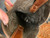 Used Capezio Tall Boots 6.5 60084-S000889323 View 19