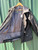 Used Burton Short HeavyCoat L-12/14 60084-S000890722 View 4