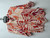 Used Ann Taylor Short Sleeve Top S-4/6 60107-S000313982 View 1